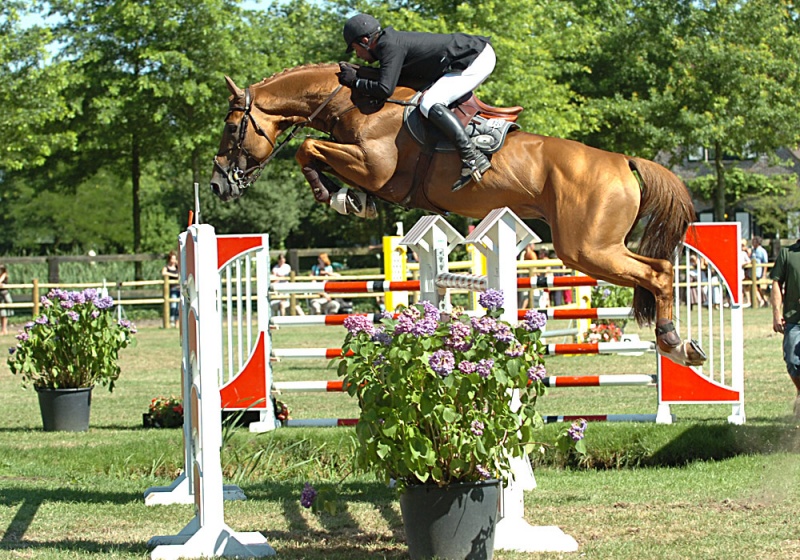 CSIO***** ST-GALLEN (SWITZERLAND) - België 4e in landenprijs